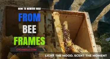 Effective Techniques for Removing Wax from Bee Frames Easily