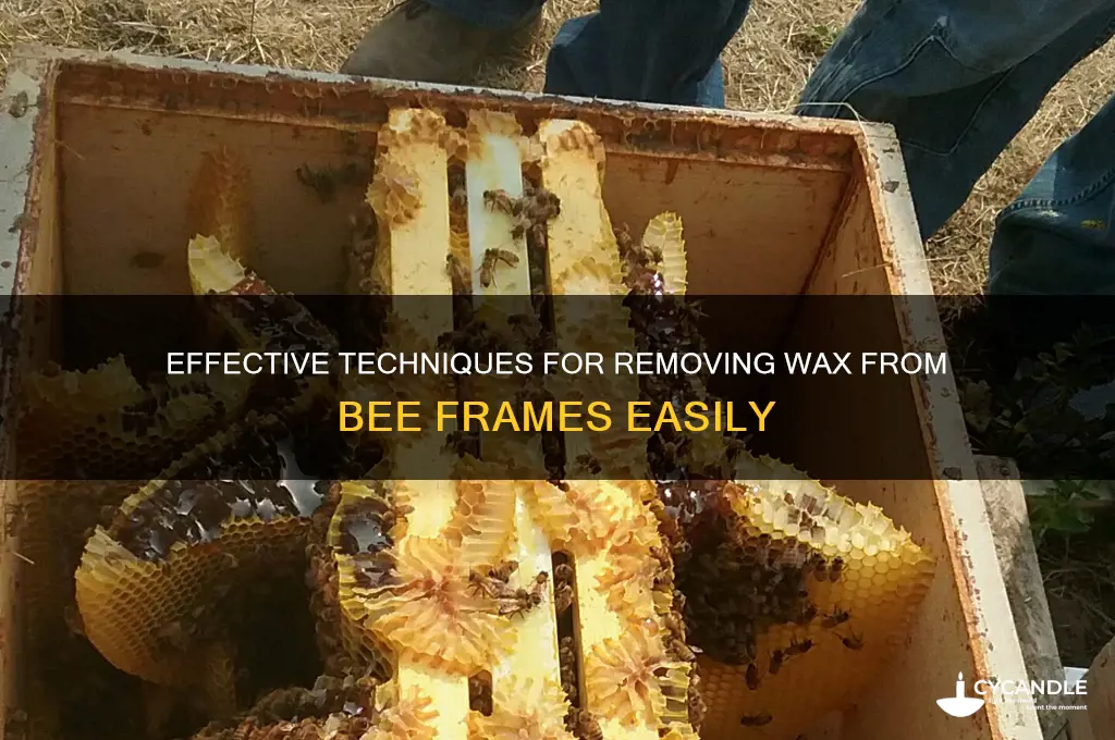 how to remove wax from bee frames