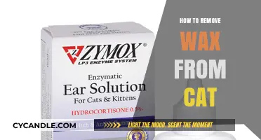 Safely Removing Wax from Your Cat: A Step-by-Step Guide