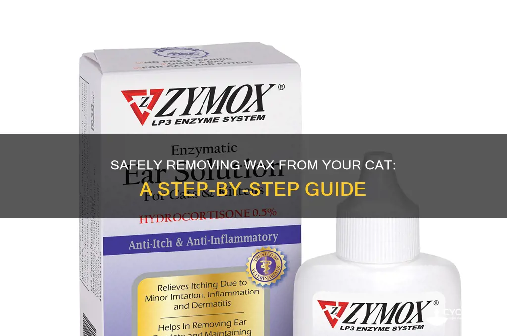 how to remove wax from cat