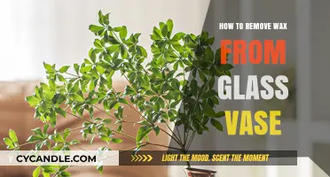 Effortless Wax Removal: Clean Your Glass Vase Like a Pro