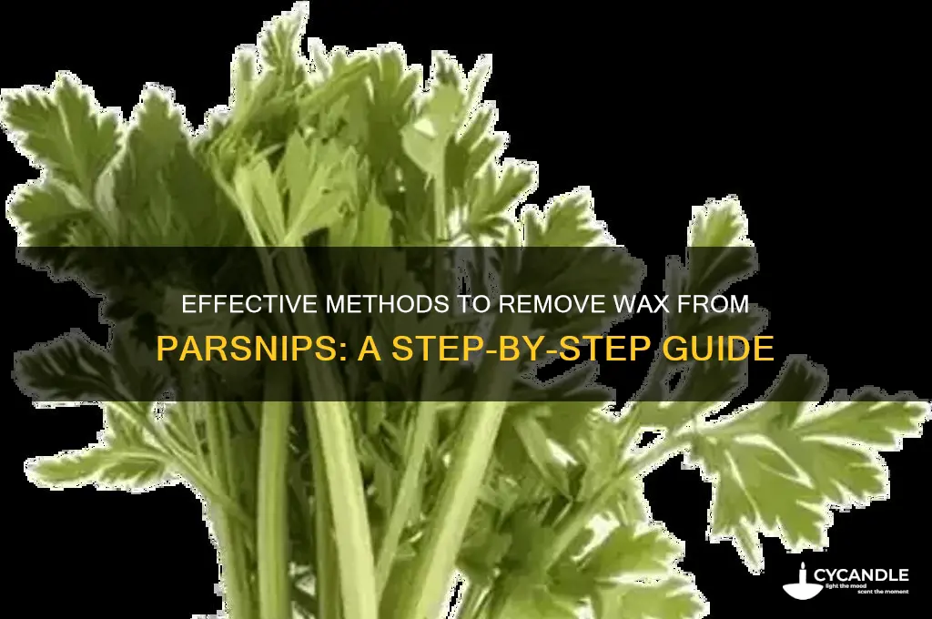 how to remove wax from parsnips