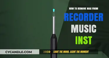 Effective Techniques to Remove Wax from Recorder Music Instruments