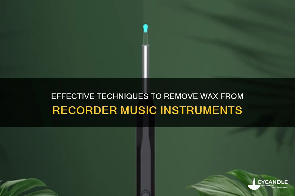 how to remove wax from recorder music inst