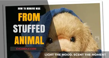 Effective Ways to Safely Remove Wax from Stuffed Animals