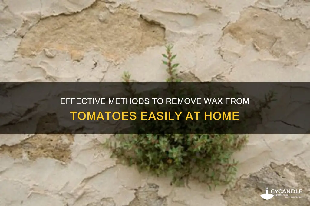 how to remove wax from tomatoes