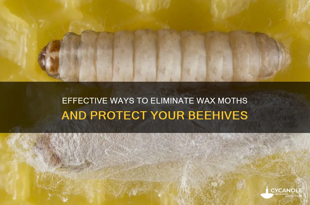 how to remove wax moth