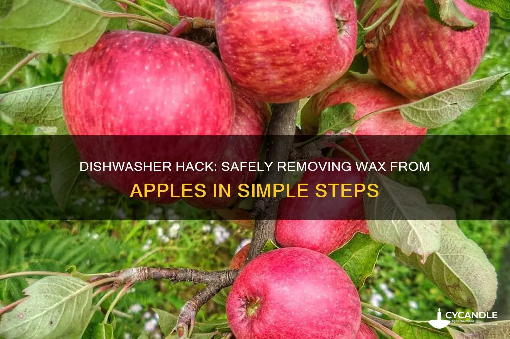 how to remove wax on apples in dishwasher