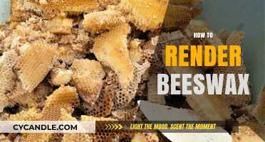 Mastering Beeswax Rendering: A Step-by-Step Guide for Beginners