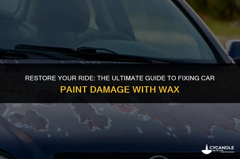 how to repair car paint damage with wax