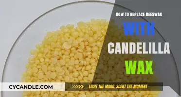Eco-Friendly Wax Swap: Candelilla Wax as a Beeswax Alternative