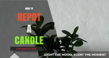 Refresh Your Candle: Simple Repotting Guide
