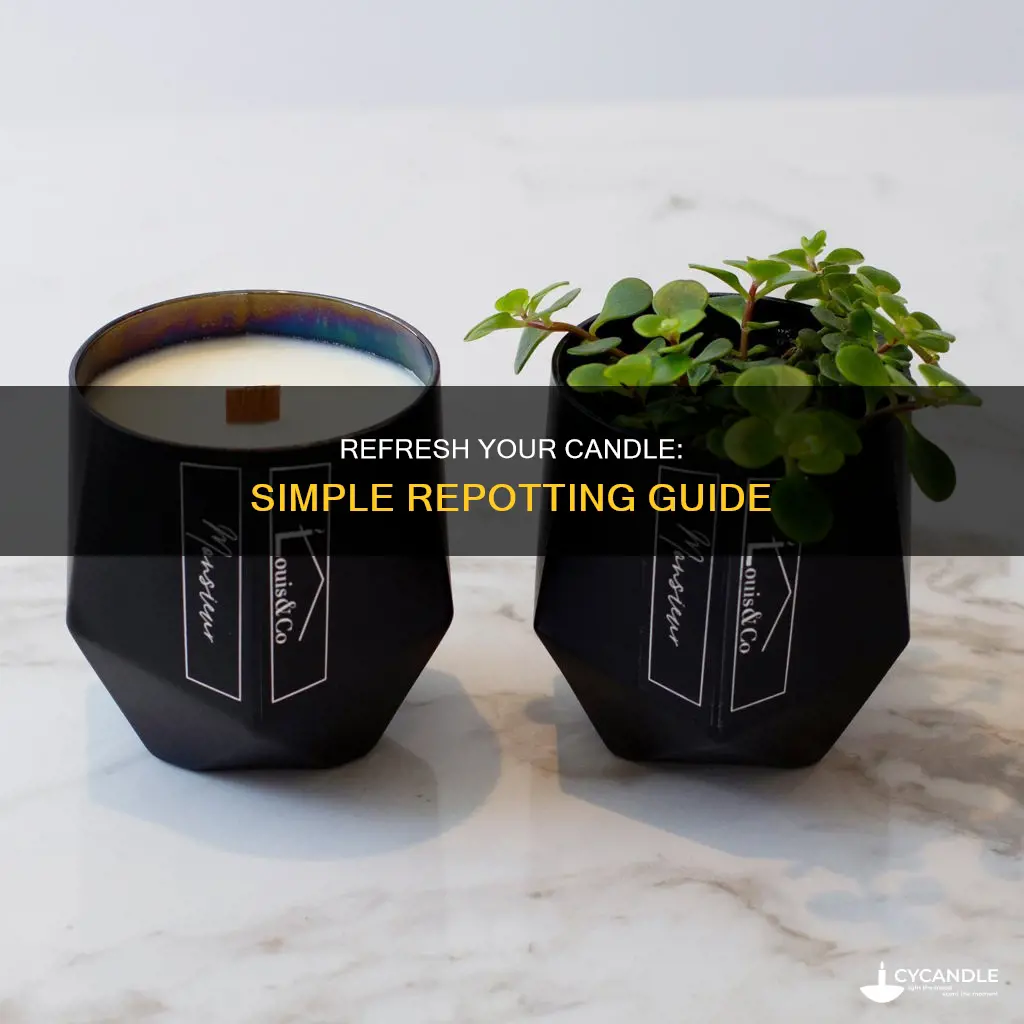 how to repot a candle