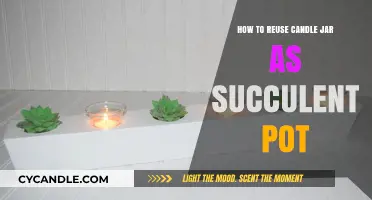 Transforming Candle Jars: Succulent Pots Reuse