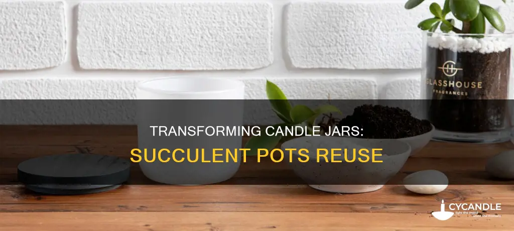 how to reuse candle jar as succulent pot