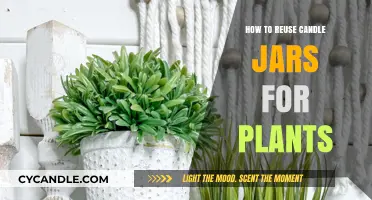 Creative Ways to Reuse Candle Jars for Plants