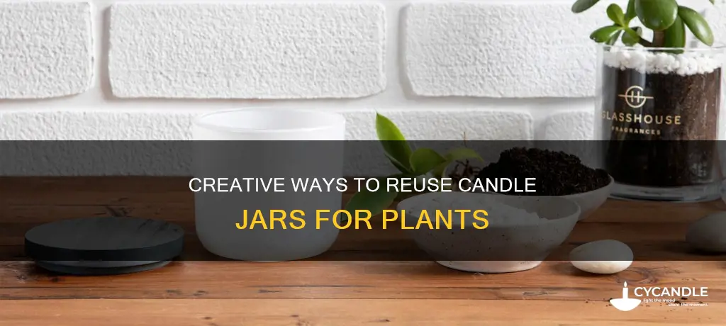 how to reuse candle jars for plants