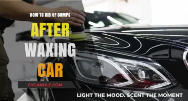 Smooth Sailing: Your Guide to a Bump-Free Car Waxing Experience