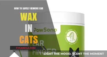 Safe Ear Wax Removal Tips for Your Feline Companion