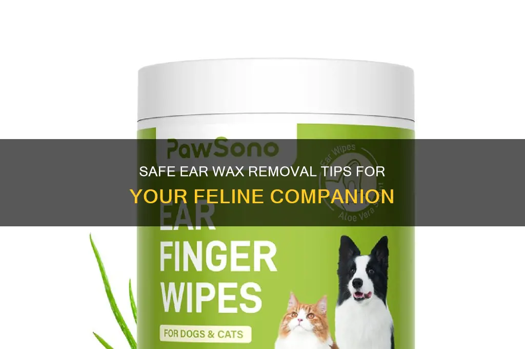 how to safely remove ear wax in cats