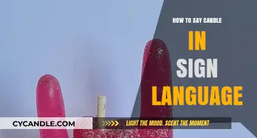 Sign Language Basics: Candle