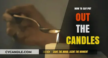 Mastering the Phrase: How to Say 'Put Out the Candles' in Different Languages