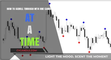 Navigating MT4: Scrolling Candles One by One
