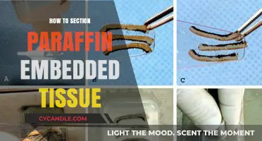 Mastering Paraffin Embedding: A Step-by-Step Tissue Sectioning Guide