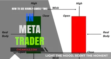 Unlocking Hourly Candle Time Insights on Meta Trader