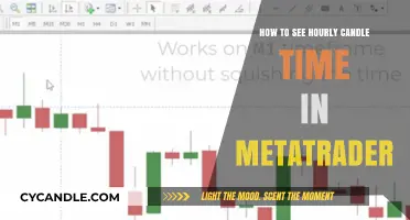 Unlocking Metatrader's Hourly Candle Time: A Simple Guide