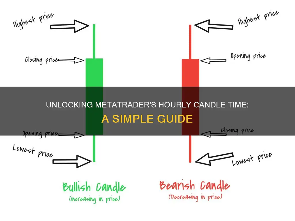 how to see hourly candle time in metatrader