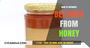Easy Methods to Separate Beeswax from Honey for Beekeepers