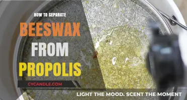 Effective Techniques for Separating Beeswax from Propolis: A Step-by-Step Guide
