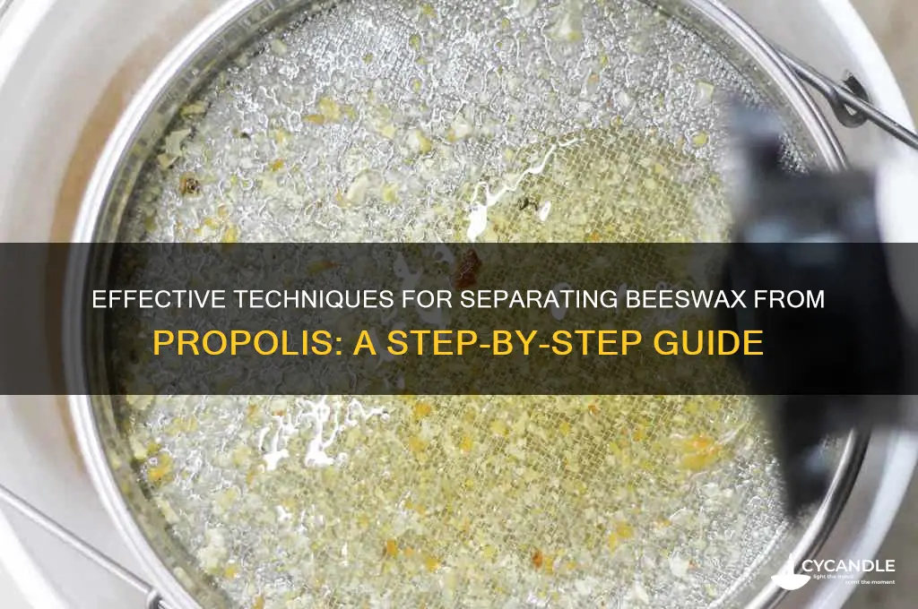 how to separate beeswax from propolis
