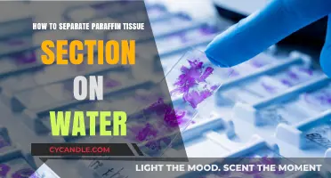 Mastering the Technique: Separating Paraffin Tissue Sections on Water