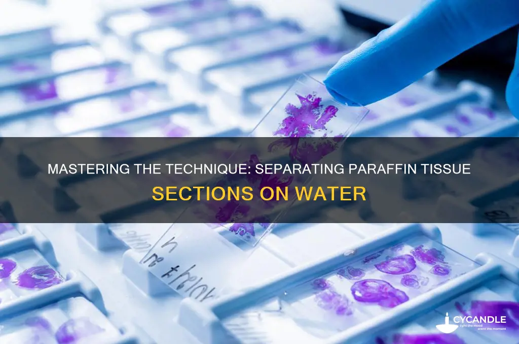 how to separate paraffin tissue section on water