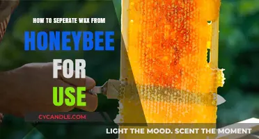 Extracting Pure Honey: A Beekeeper's Guide to Separating Wax from Honey