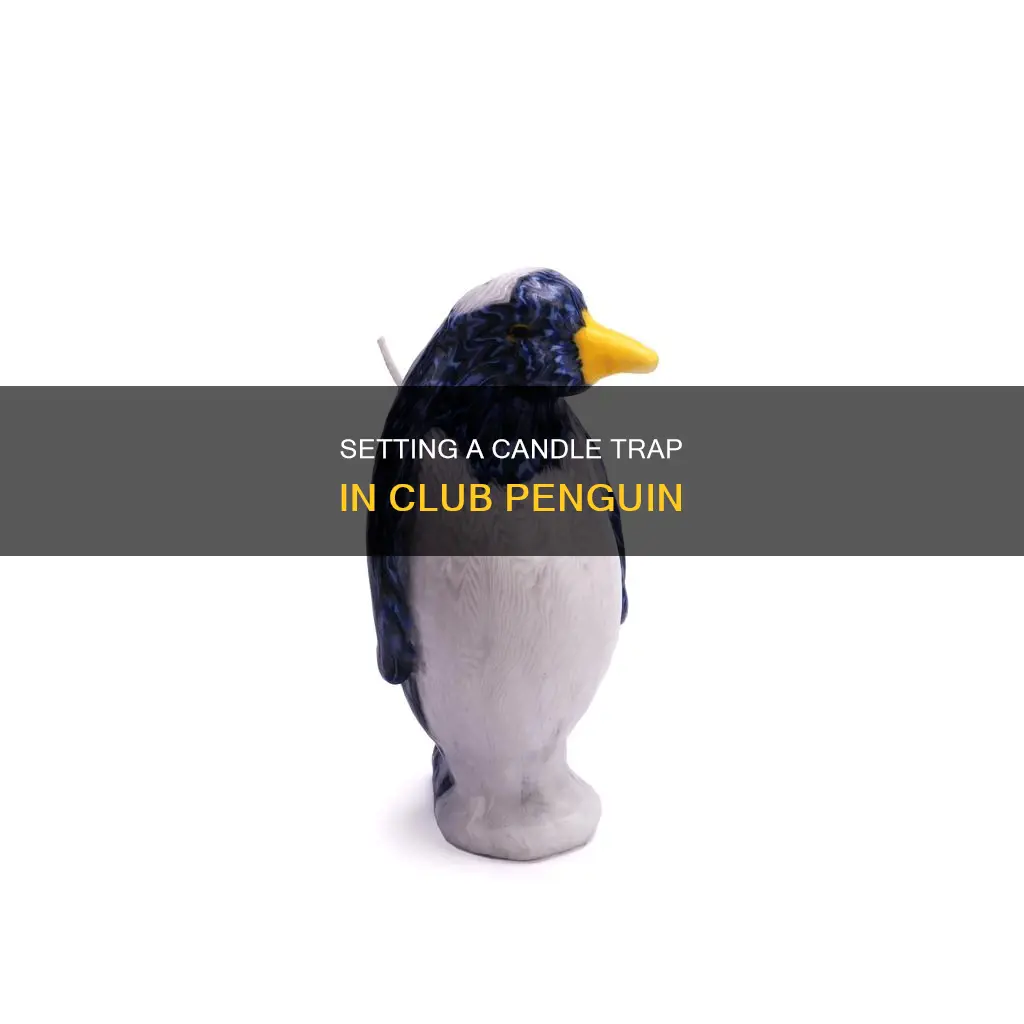 how to set up candle trap club penguin