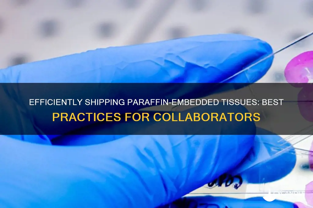 how to share the paraffin-embeded tissues between collaborators shipment