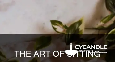 how to sit a candle lid