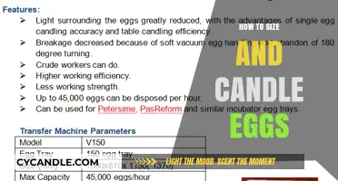 The Ultimate Guide to Sizing and Candling Eggs