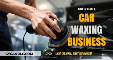 Shine Bright: Launching Your Car Waxing Business in 5 Steps