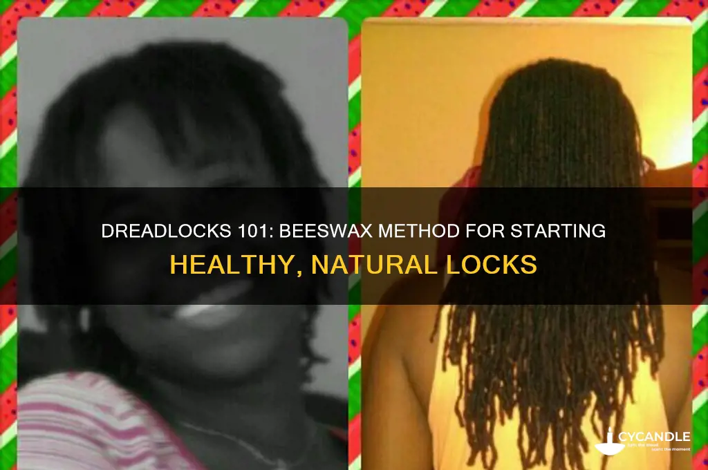 how to start dreadlocks with beeswax