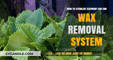 Effective Sterilization Techniques for Elephant Ear Ear Wax Removal System