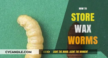 The Complete Guide to Storing Wax Worms for Optimal Fishing Success