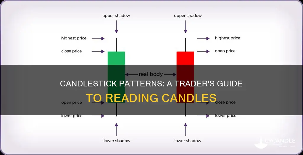 how to study candle patterns