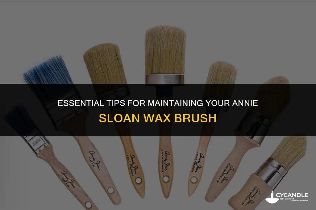 how to take care of annie sloan wax brush