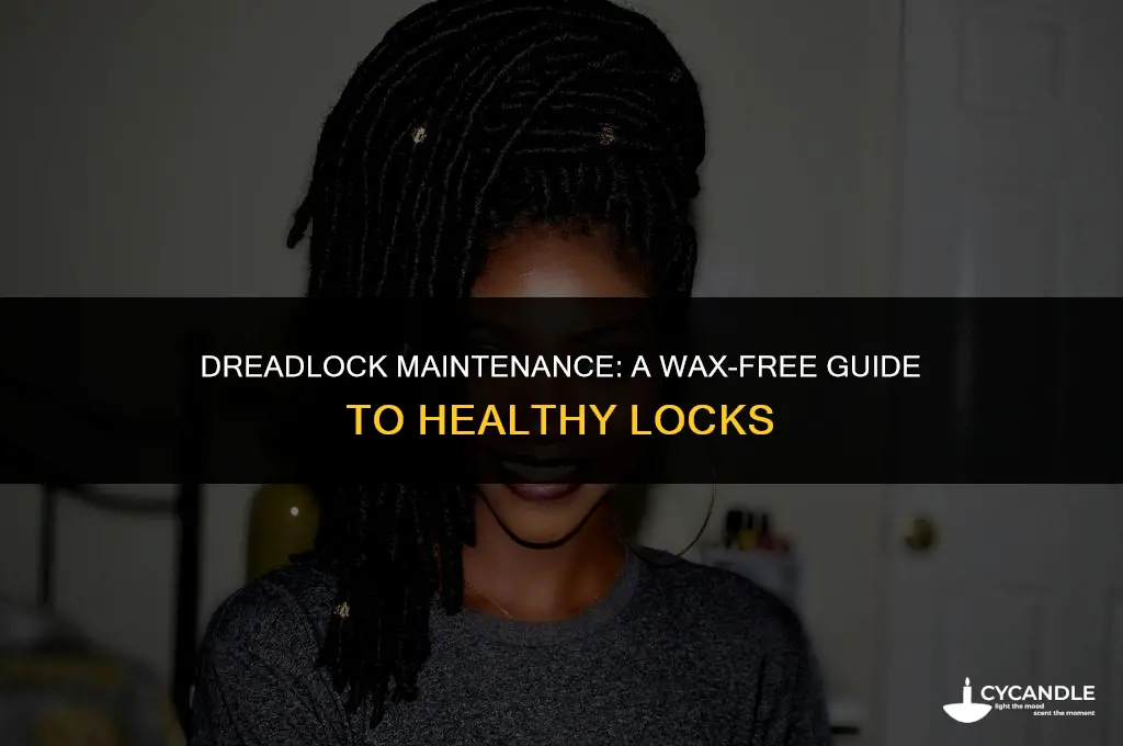 how to take care of dreads without wax