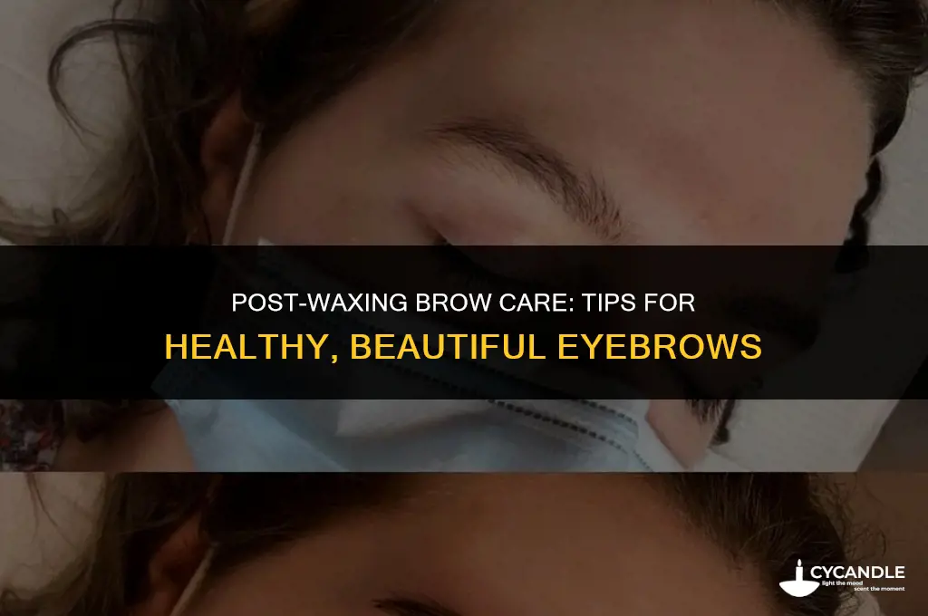 how to take care of eyebrows after waxing