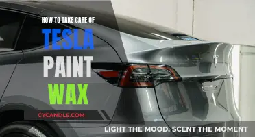 Revive Your Tesla's Shine: The Ultimate Guide to Paint Wax Care